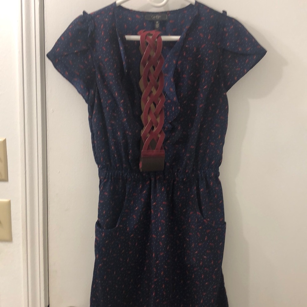 JS dress wiith Target belt